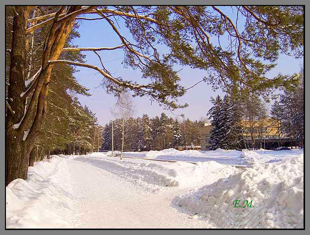 Снежный Февраль #3 :: Автор Евгений Мальцев