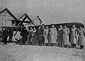 On the Airdrome. Group of Officers and Pilots near an Airplane against a Background of the Hangars