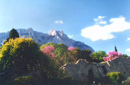 View of Ai-Petri Mountain :: 