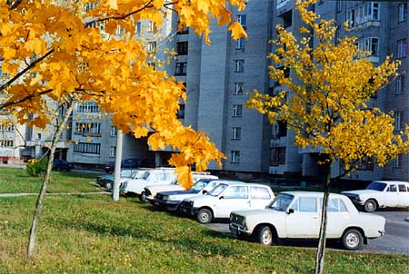 В "скобках" :: Фото Чупракова Ю.В.