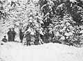 A Group of Military Men in the Winter Forest. Carpathian Mountains. The 1-st World War. 1915